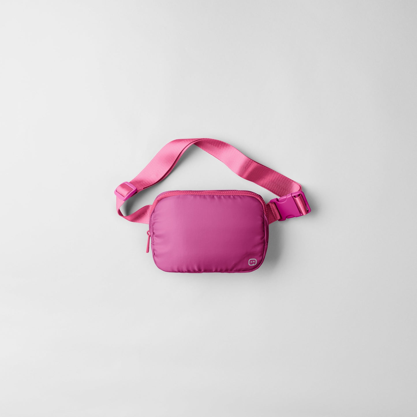 Wink Accessories Chatelaine Belt Bag